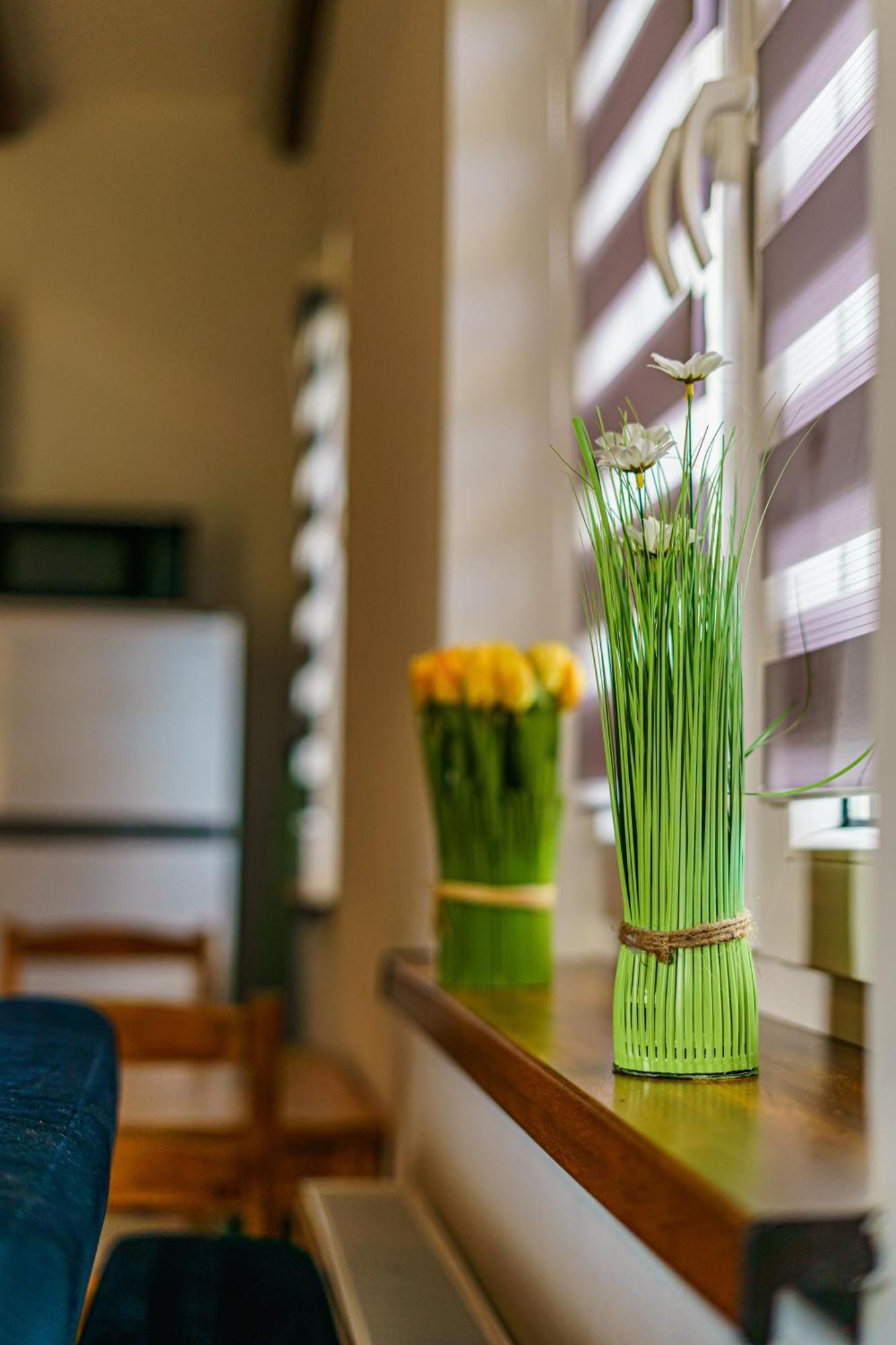 Apartamenty Kolo Brzegu Гонський Екстер'єр фото